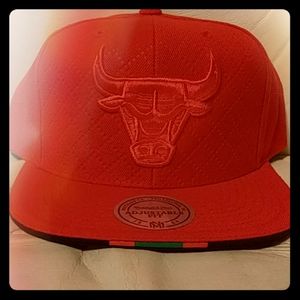 Chicago Bulls Snap Back